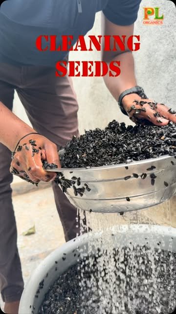 PL Organics reel, 7,146 views