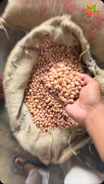 PL Organics reel, 4,802 views